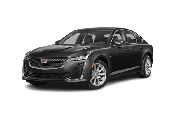 Home 11 Black Executive Sedan