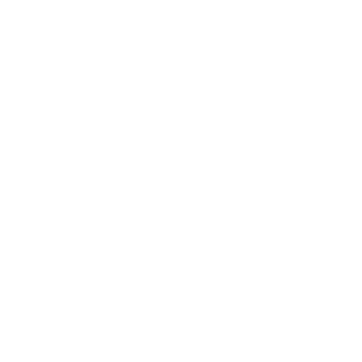White phone icon representing direct contact with ZechionRide for luxury transportation services in NYC.
