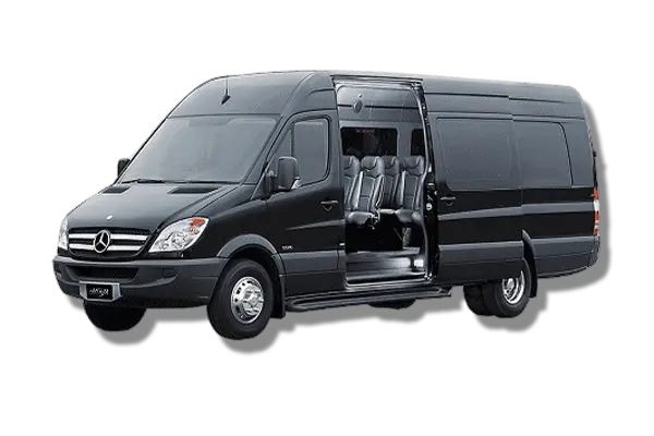 Home 16 Black Splinter Van Limousine